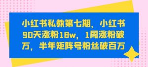 小红书私教第七期,小红书90天涨粉18w,1周涨粉破万,半年矩阵号粉丝破百万-鱼梓小栈