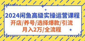 2024闲鱼高级实操运营课程：开店/养号/选择爆款/引流/月入2万/全流程-鱼梓小栈