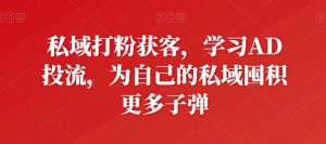 私域打粉获客，学习AD投流，为自己的私域囤积更多子弹-鱼梓小栈