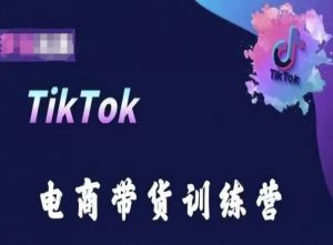TikTok电商带货训练营，跟随时代潮流，跨境掘金-鱼梓小栈