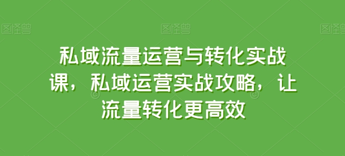 私域流量运营与转化实战课，私域运营实战攻略，让流量转化更高效-鱼梓小栈