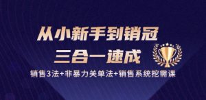 从小新手到销冠 三合一速成：销售3法+非暴力关单法+销售系统挖需课 (27节)-鱼梓小栈