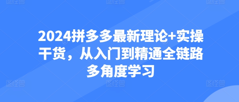 2024拼多多最新理论+实操干货，从入门到精通全链路多角度学习-鱼梓小栈