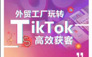 外贸工厂玩转TikTok高效获客，多种引流方式与账号定位技巧，拆解爆款短视频打造成功案例-鱼梓小栈