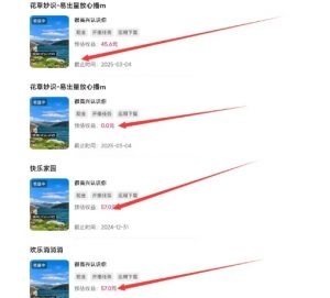 磁力聚星游戏副业陪跑训练营1.0，长期稳定项目，有人一周干了1K+-鱼梓小栈