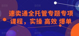 速卖通全托管专题专项课程,实操 高效 爆单-鱼梓小栈