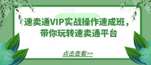 速卖通VIP实战操作速成班，带你玩转速卖通平台-鱼梓小栈