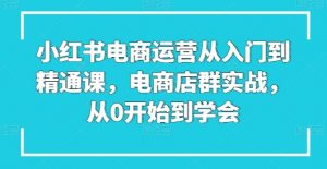 小红书电商运营从入门到精通课，电商店群实战，从0开始到学会-鱼梓小栈
