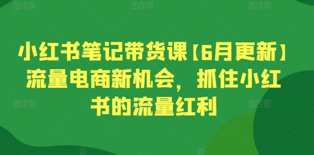 小红书笔记带货课【6月更新】流量电商新机会，抓住小红书的流量红利-鱼梓小栈