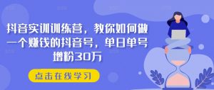 抖音实训训练营，教你如何做一个赚钱的抖音号，单日单号增粉30万-鱼梓小栈