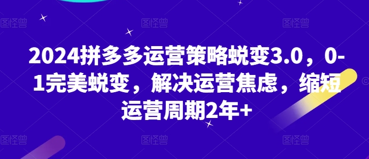 2024拼多多运营策略蜕变3.0，0-1完美蜕变，解决运营焦虑，缩短运营周期2年+-鱼梓小栈