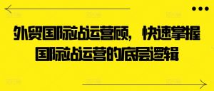 外贸国际站运营顾问，快速掌握国际站运营的底层逻辑-鱼梓小栈