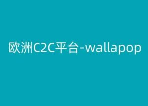 欧洲C2C平台-wallapop-kim跨境电商教程-鱼梓小栈