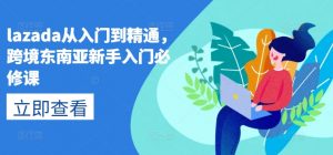 lazada从入门到精通,跨境东南亚新手入门必修课-鱼梓小栈