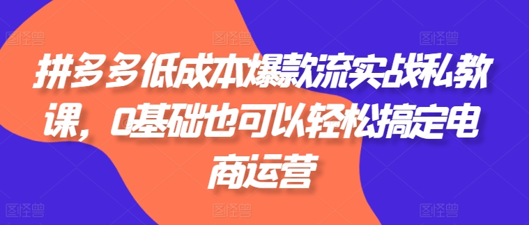 拼多多低成本爆款流实战私教课，0基础也可以轻松搞定电商运营-鱼梓小栈