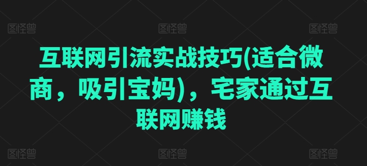 互联网引流实战技巧(适合微商，吸引宝妈)，宅家通过互联网赚钱-鱼梓小栈