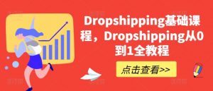 Dropshipping基础课程，Dropshipping从0到1全教程-鱼梓小栈