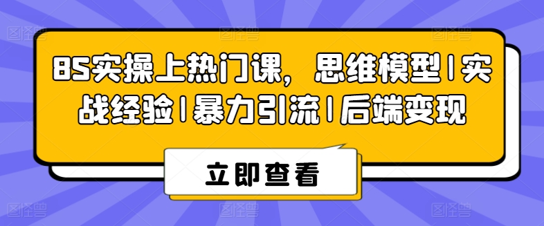 8S实操上热门课，思维模型|实战经验|暴力引流|后端变现-鱼梓小栈