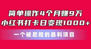 简单操作4个月赚9w，小红书打卡日变现1k，一个被忽视的暴力项目【揭秘】-鱼梓小栈