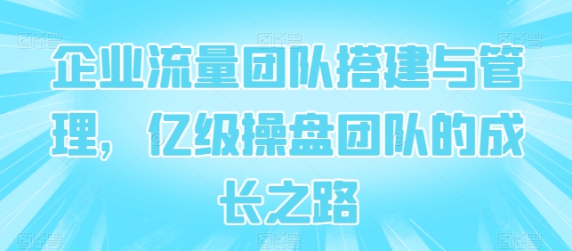 企业流量团队搭建与管理，亿级操盘团队的成长之路-鱼梓小栈