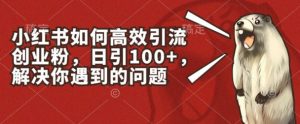 小红书如何高效引流创业粉，日引100+，解决你遇到的问题【揭秘】-鱼梓小栈