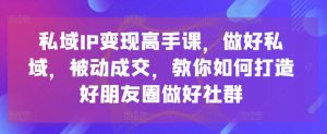 私域IP变现高手课，做好私域，被动成交，教你如何打造好朋友圈做好社群-鱼梓小栈