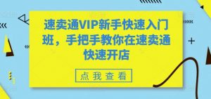 速卖通VIP新手快速入门班，手把手教你在速卖通快速开店-鱼梓小栈