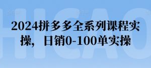 2024拼多多全系列课程实操，日销0-100单实操【必看】-鱼梓小栈