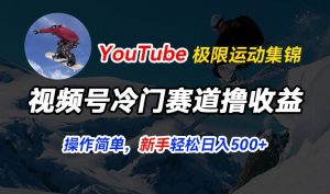 视频号冷门赛道撸收益，YouTube搬运极限运动集锦，暴力起号，操作简单流量高，轻松日入5张【揭秘】-鱼梓小栈