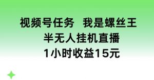 视频号任务，我是螺丝王， 半无人挂机1小时收益15元【揭秘】-鱼梓小栈