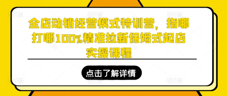 全店动销经营模式特训营，指哪打哪100%精准拉新保姆式起店实操课程-鱼梓小栈