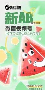 梅花实验室2024年AB技术视频号AB合成破解版-鱼梓小栈