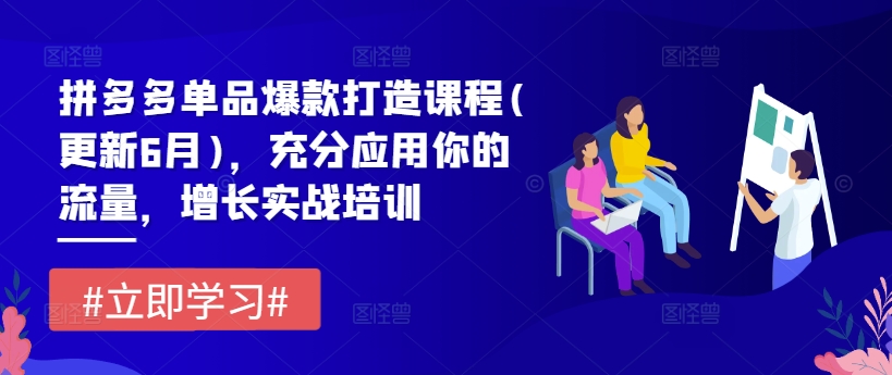 拼多多单品爆款打造课程(更新6月)，充分应用你的流量，增长实战培训-鱼梓小栈