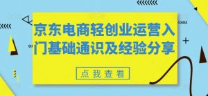 京东电商轻创业运营入门基础通识及经验分享-鱼梓小栈