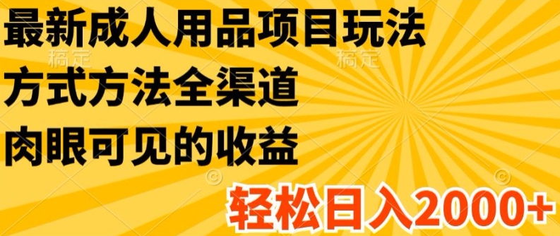 最新成人用品项目玩法，方式方法全渠道，轻松日入2K+【揭秘】-鱼梓小栈