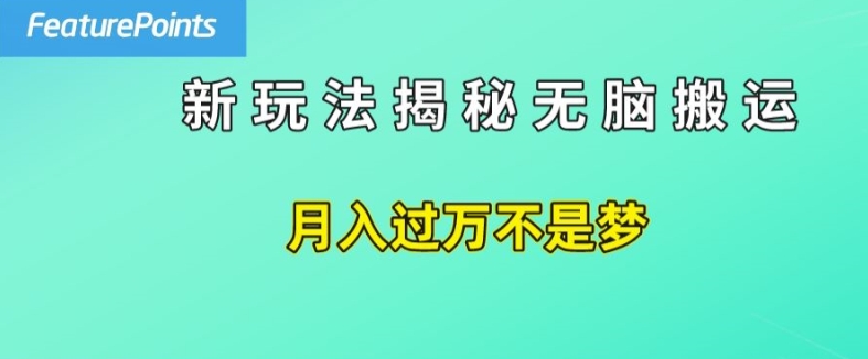 简单操作，每天50美元收入，搬运就是赚钱的秘诀【揭秘】-鱼梓小栈