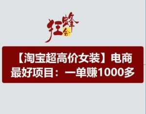 淘宝超高价女装项目，电商最好赛道，一单赚1000多-鱼梓小栈