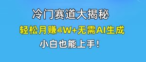 冷门赛道大揭秘，轻松月赚1W+无需AI生成，小白也能上手【揭秘】-鱼梓小栈