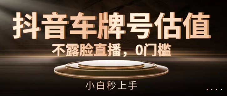 抖音车牌号估值，不露脸直播，0门槛，小白秒上手【揭秘】-鱼梓小栈