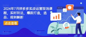 2024年7月拼多多实战运营现场课程，实时玩法，爆款打造，选品、规则解析-鱼梓小栈