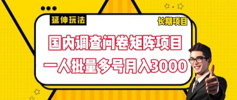 国内调查问卷矩阵项目，一人批量多号月入3000【揭秘】-鱼梓小栈