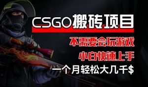 CSGO 装备搬砖项目，操作简单，不需要会玩游戏，小白也能快速上手，一个月轻松大几千【揭秘】-鱼梓小栈