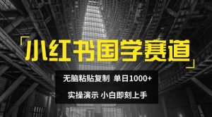 小红书国学赛道，无脑粘贴复制，单日1K，实操演示，小白即刻上手【揭秘】-鱼梓小栈