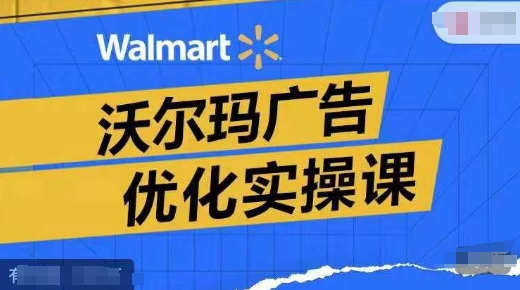 沃尔玛广告优化实操课，广告报告实操讲解，广告如何提高转化和ROAS等-鱼梓小栈