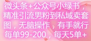 微头条+公众号小绿书，精准引流男粉到私域卖套图，无脑操作，有手就行，每单99-200，每天5单-鱼梓小栈
