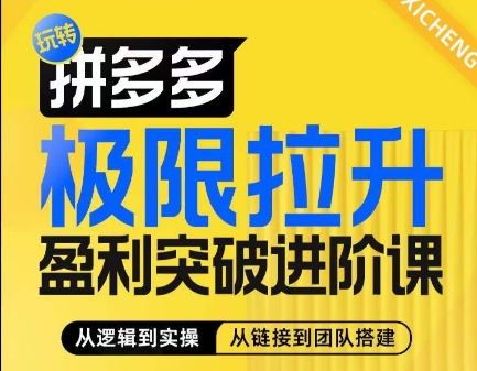 拼多多极限拉升盈利突破进阶课，​从算法到玩法，从玩法到团队搭建，体系化系统性帮助商家实现利润提升-鱼梓小栈