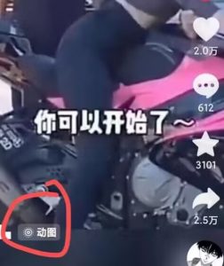 2024年7月苹果手机动图搬运技术-鱼梓小栈