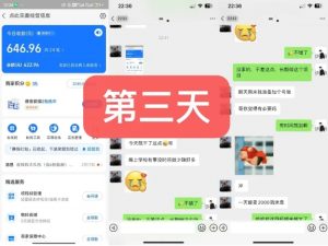 货币掘金项目，3天卖了2720！新项目内测组【限10人】-鱼梓小栈