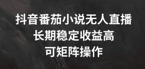 抖音番茄小说无人直播，长期稳定收益高，可矩阵操作【揭秘】-鱼梓小栈