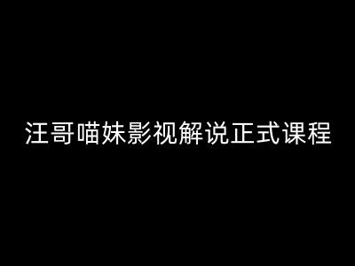 汪哥影视解说正式课程：剪映/PR教学/视解说剪辑5大黄金法则/全流程剪辑7把利器等等-鱼梓小栈